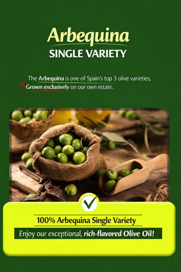 8931d33b650e9d9d8a724af5c79dc605_1769390648_1267.png 8931d33b650e9d9d8a724af5c79dc605_1769390648_1267.png