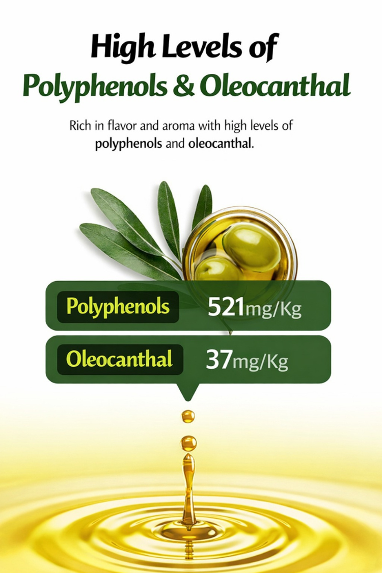 8931d33b650e9d9d8a724af5c79dc605_1769390648_3724.png 8931d33b650e9d9d8a724af5c79dc605_1769390648_3724.png